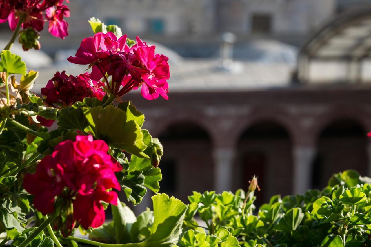 Hotel Régie Ottoman Istanbul - Special Category Exterior foto Geranium flowers in the courtyard of the San Francisco Museum of Modern Art